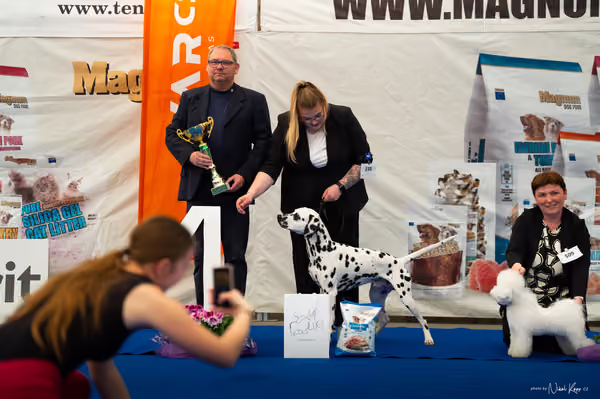 For Pets Cup – MLADÝ PES