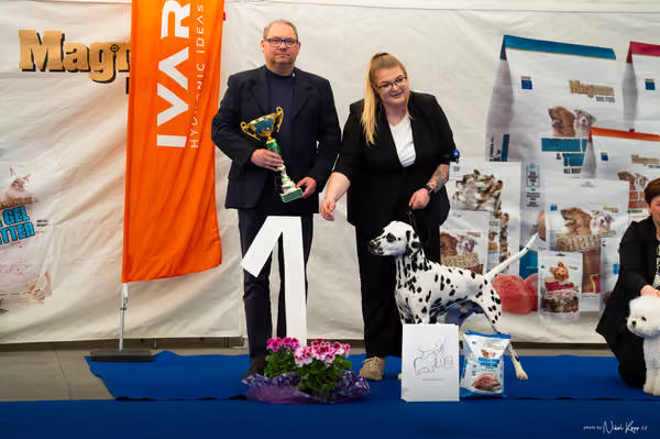 For Pets Cup – MLADÝ PES