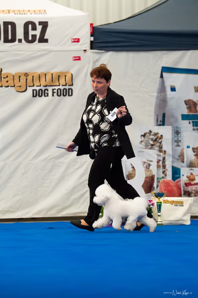 For Pets Cup – MLADÝ PES