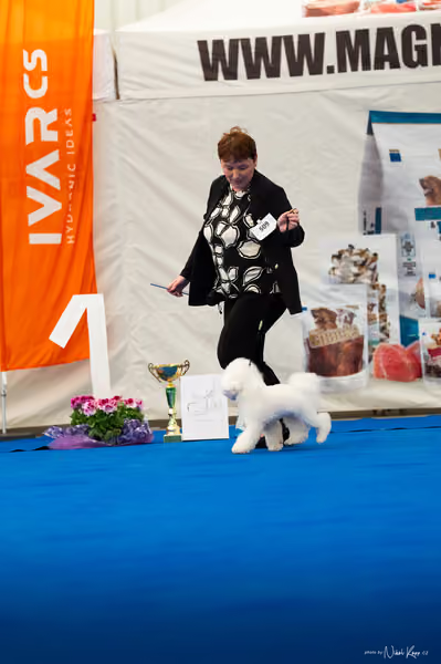 For Pets Cup – MLADÝ PES