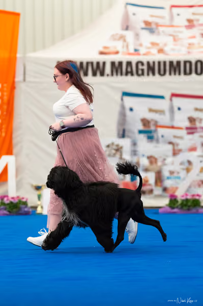 For Pets Cup – MLADÝ PES