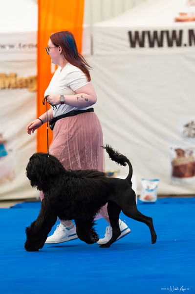 For Pets Cup – MLADÝ PES