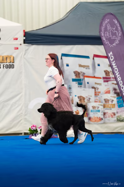 For Pets Cup – MLADÝ PES