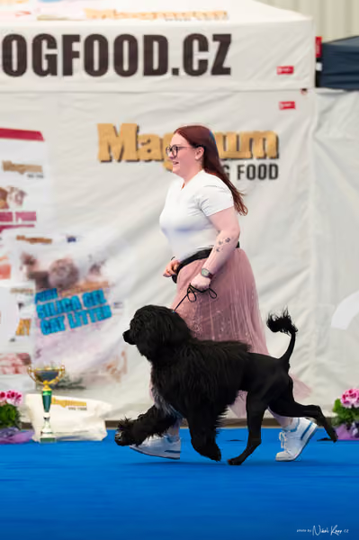 For Pets Cup – MLADÝ PES