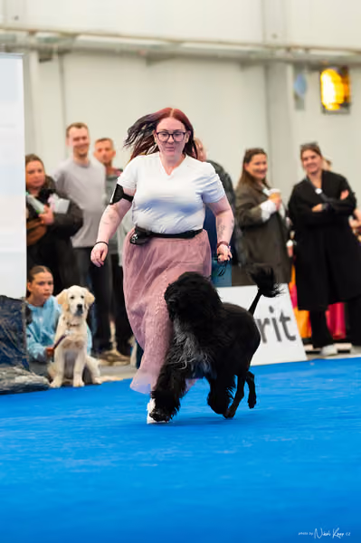 For Pets Cup – MLADÝ PES
