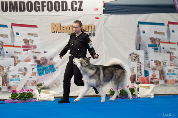 For Pets Cup – MLADÝ PES