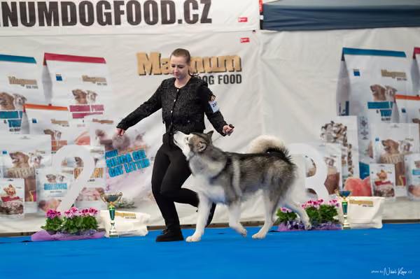 For Pets Cup – MLADÝ PES
