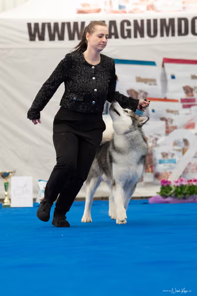 For Pets Cup – MLADÝ PES