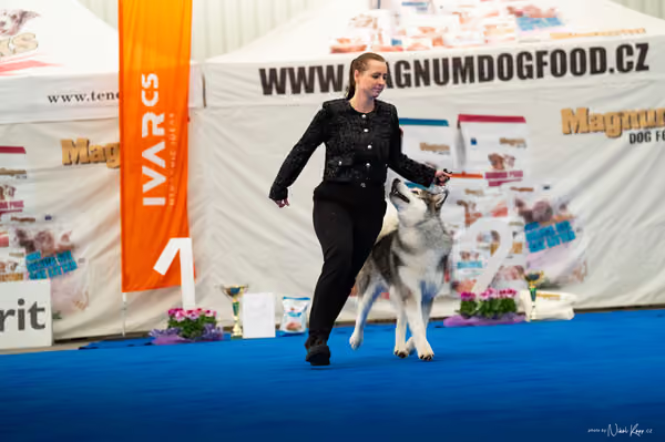 For Pets Cup – MLADÝ PES