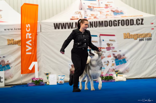 For Pets Cup – MLADÝ PES