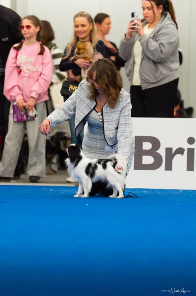 For Pets Cup – MLADÝ PES