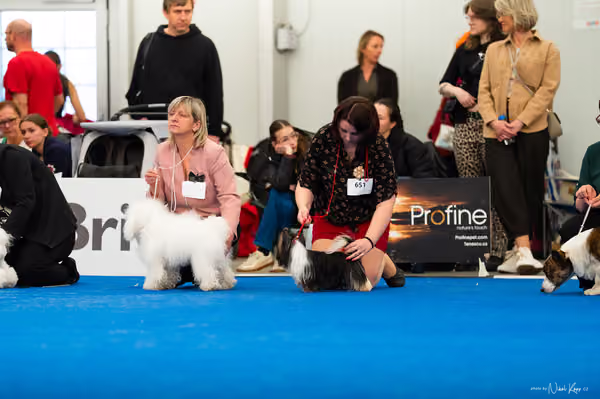 For Pets Cup – MLADÝ PES