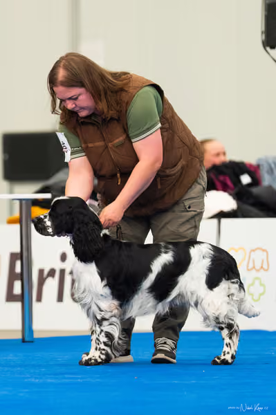 For Pets Cup – MLADÝ PES