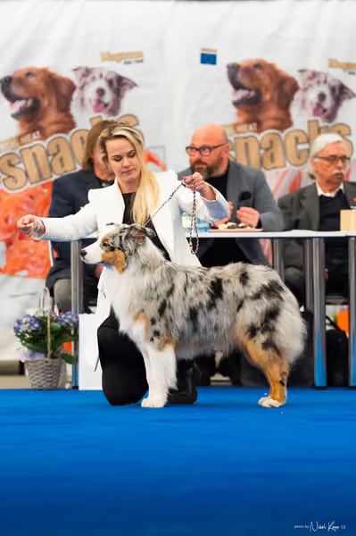 For Pets Cup – MLADÝ PES