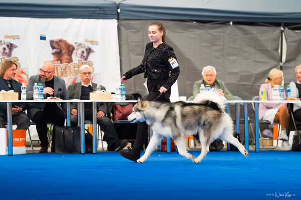 For Pets Cup — DSC03428