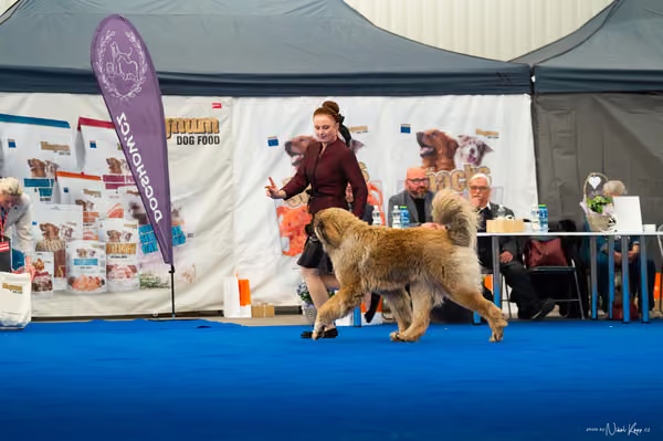 For Pets Cup — DSC03434