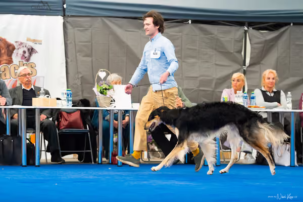 For Pets Cup — DSC03444