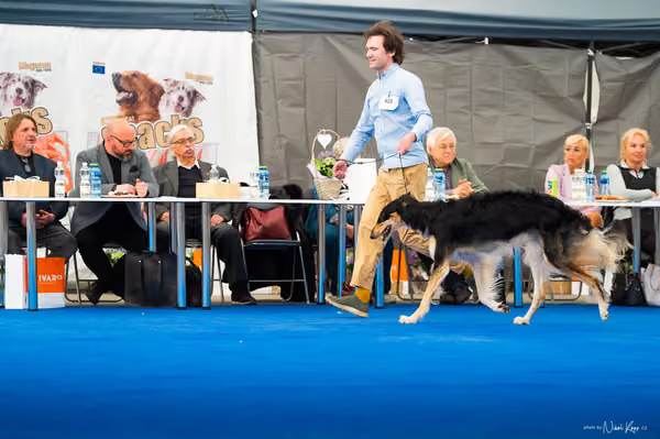 For Pets Cup — DSC03445