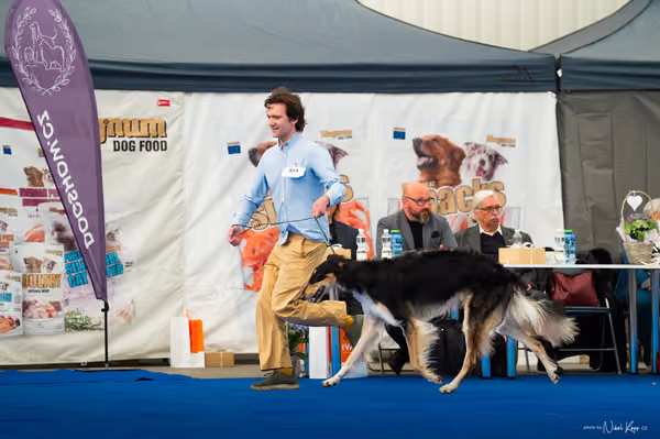 For Pets Cup — DSC03448