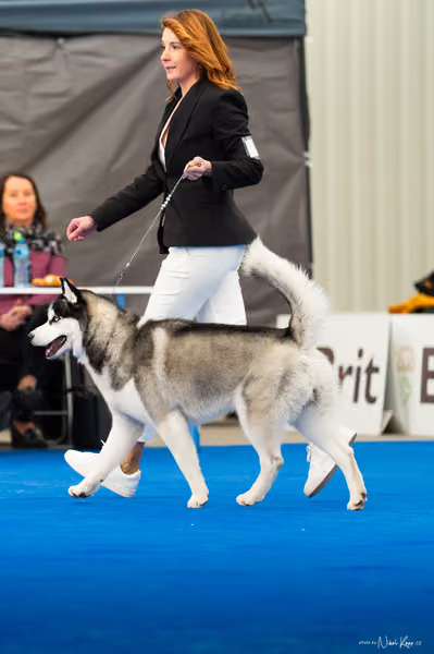 For Pets Cup — DSC03457