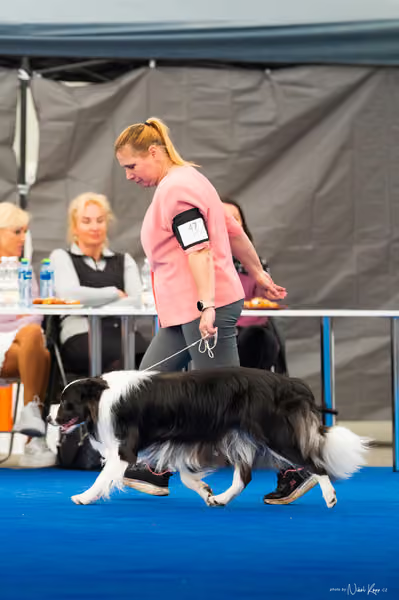 For Pets Cup — DSC03462