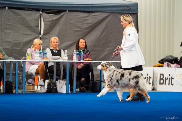 For Pets Cup — DSC03467