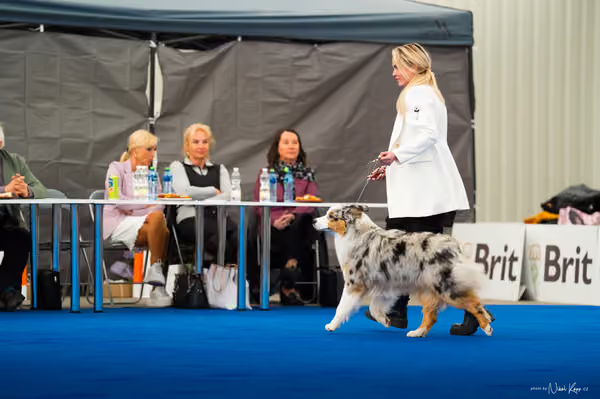 For Pets Cup — DSC03468
