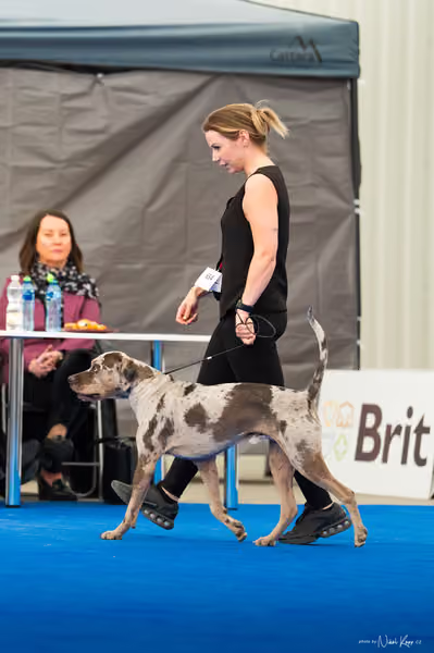 For Pets Cup — DSC03471