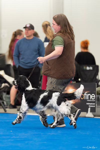 For Pets Cup — DSC03476