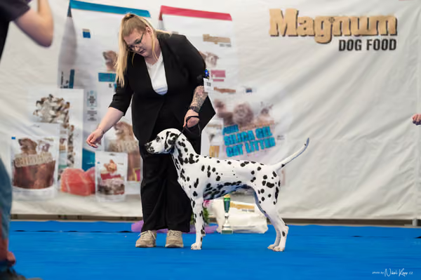 For Pets Cup — DSC03483
