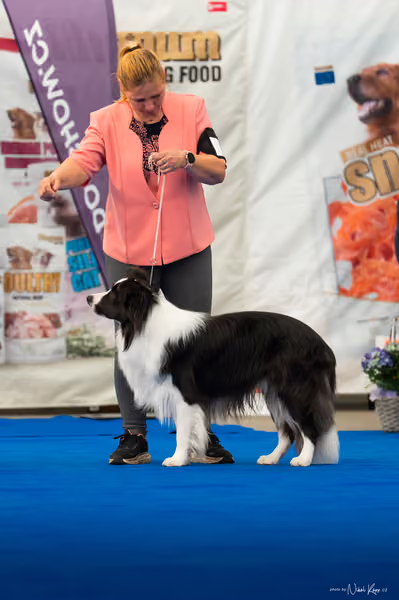 For Pets Cup — DSC03489
