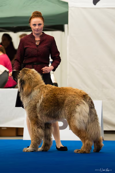 For Pets Cup — DSC03492