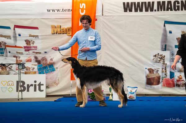 For Pets Cup – MLADÝ PES