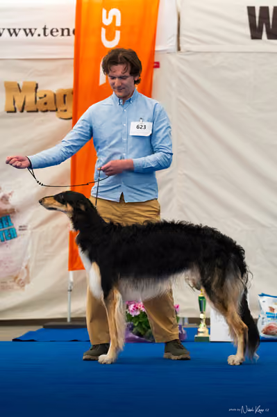 For Pets Cup – MLADÝ PES