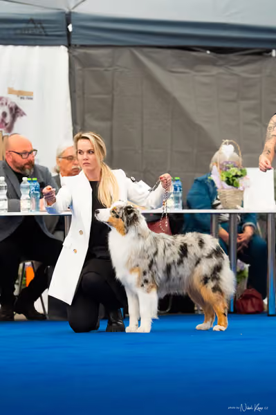 For Pets Cup – MLADÝ PES