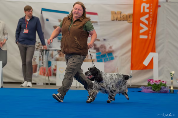 For Pets Cup – Veterán