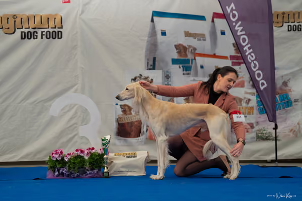 For Pets Cup – Veterán
