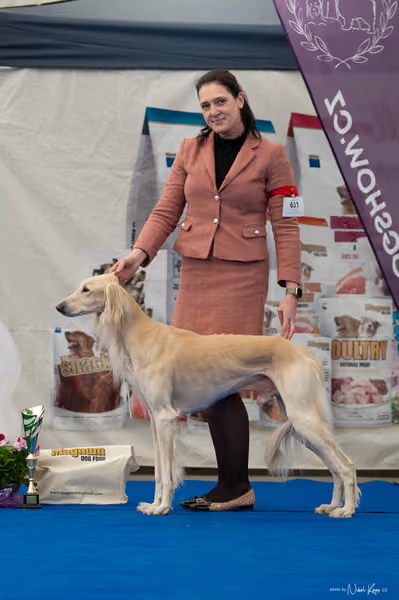 For Pets Cup – Veterán