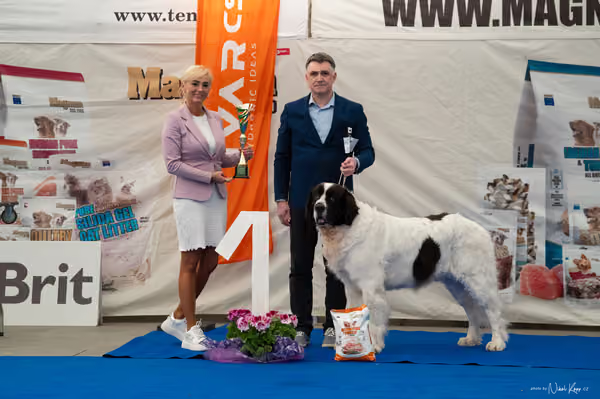 For Pets Cup – Veterán