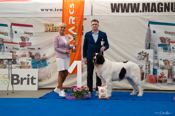 For Pets Cup – Veterán