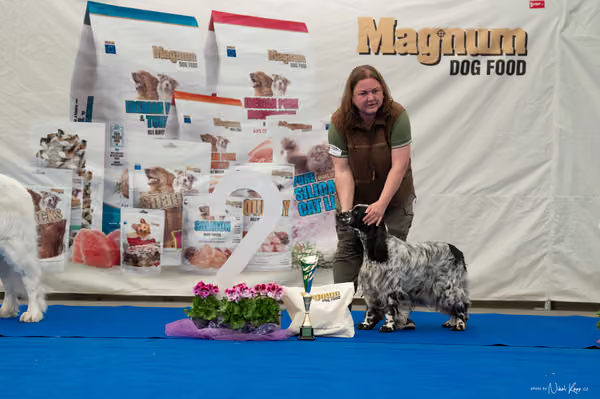 For Pets Cup – Veterán
