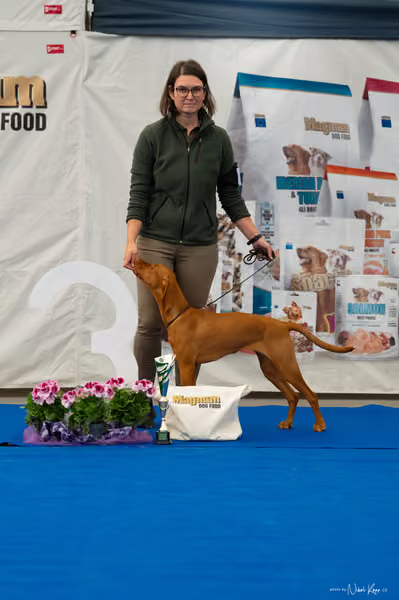 For Pets Cup — DSC02814