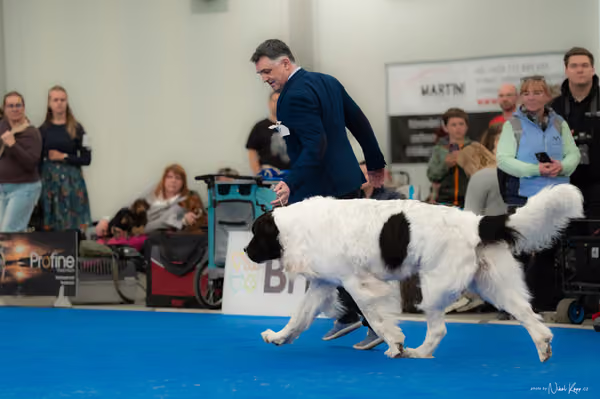 For Pets Cup — DSC02820