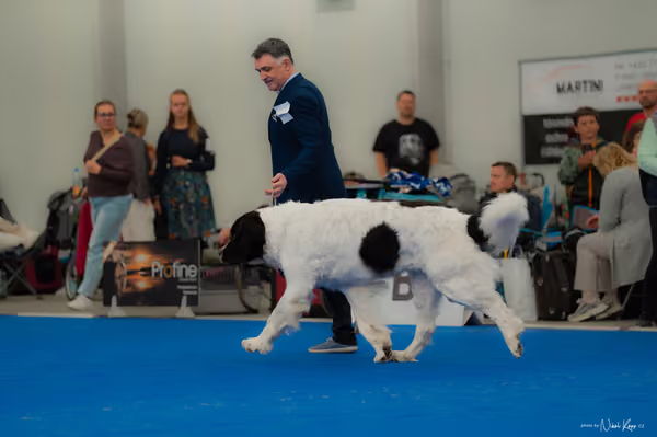 For Pets Cup — DSC02824