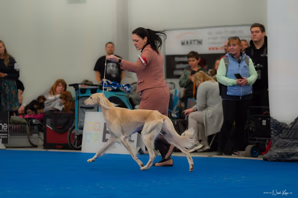 For Pets Cup — DSC02832