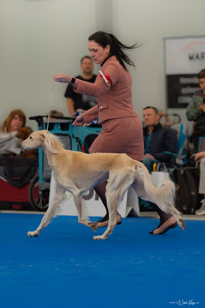 For Pets Cup — DSC02833