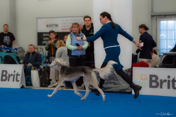 For Pets Cup — DSC02835