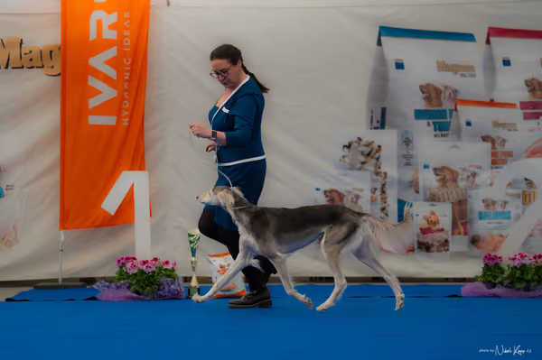 For Pets Cup — DSC02847
