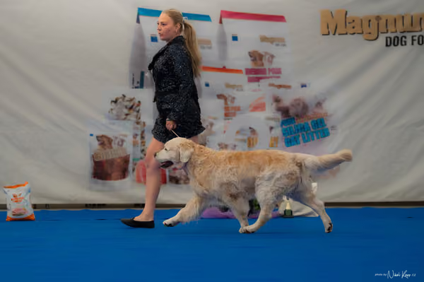 For Pets Cup — DSC02852