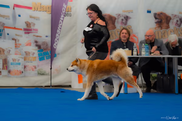 For Pets Cup — DSC02857